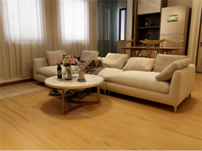 圣象纳米光触媒抗菌地板即日开启预定，产品创新与室内装饰设计服务双翼齐飞